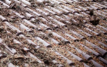 Rhyd Y Clafdy roof cleaning companies